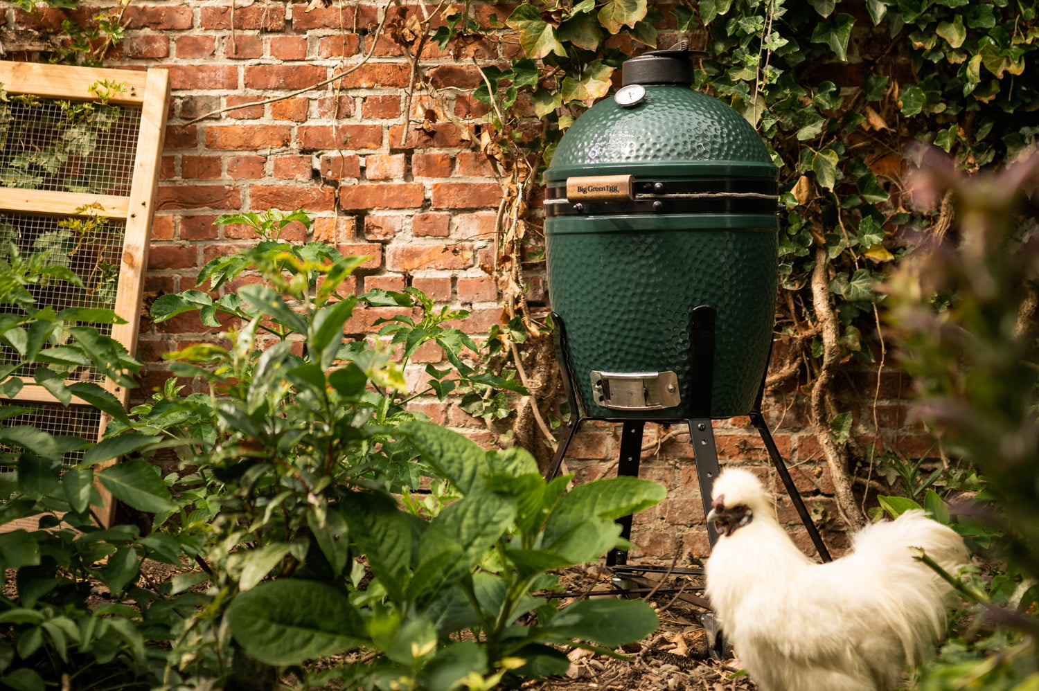 Big Green Egg Small